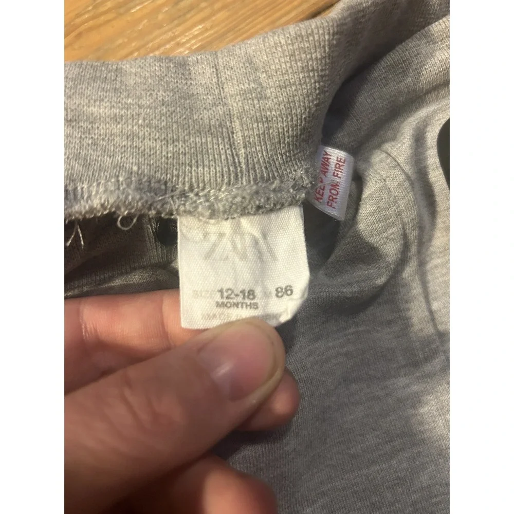 Zara lot includes